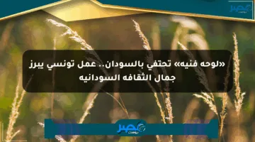 «لوحة فنية» تحتفي بالسودان.. عمل تونسي يبرز جمال الثقافة السودانية